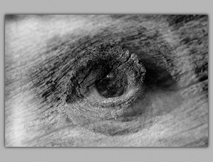 JLM's Eye, Silver Gelatin Print, 1988