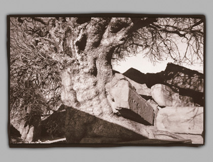 Reconstruction, Platinum Print, 1997