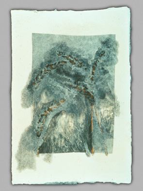 Leaves, Platinum Print and Paper Pulp, 1996